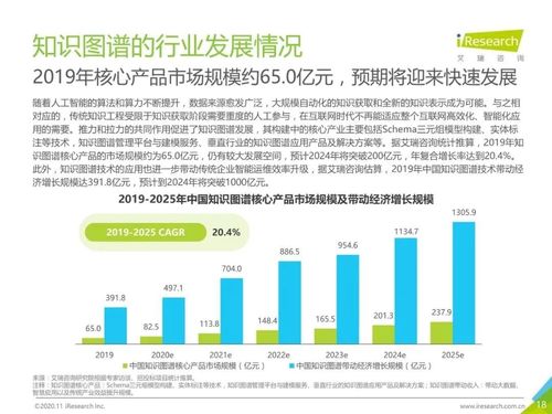 2020年中國面向人工智能新基建的知識(shí)圖譜行業(yè)白皮書 互聯(lián)網(wǎng)技術(shù)服務(wù)的賦能與展望